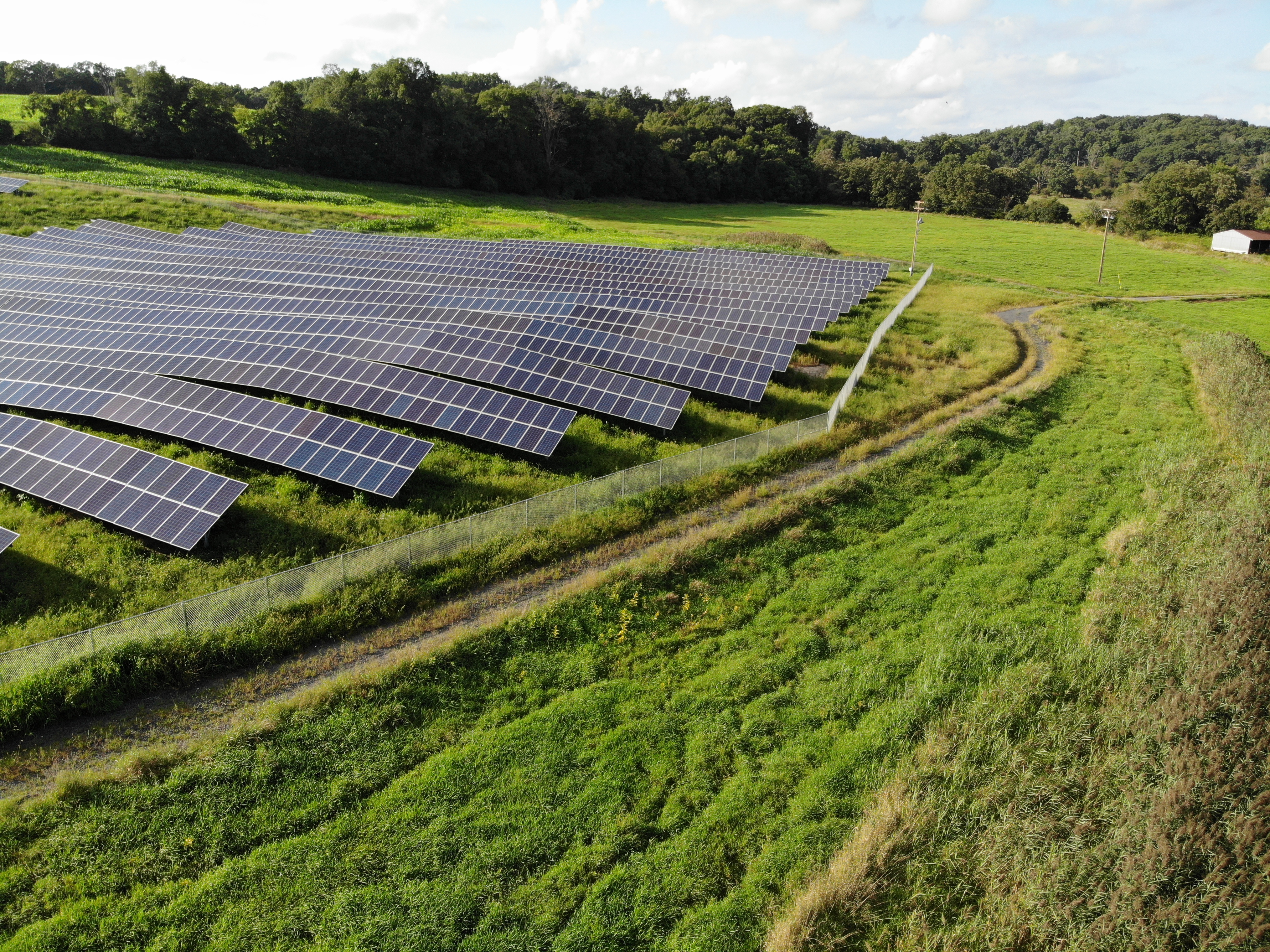 Solar Farm with fence around it