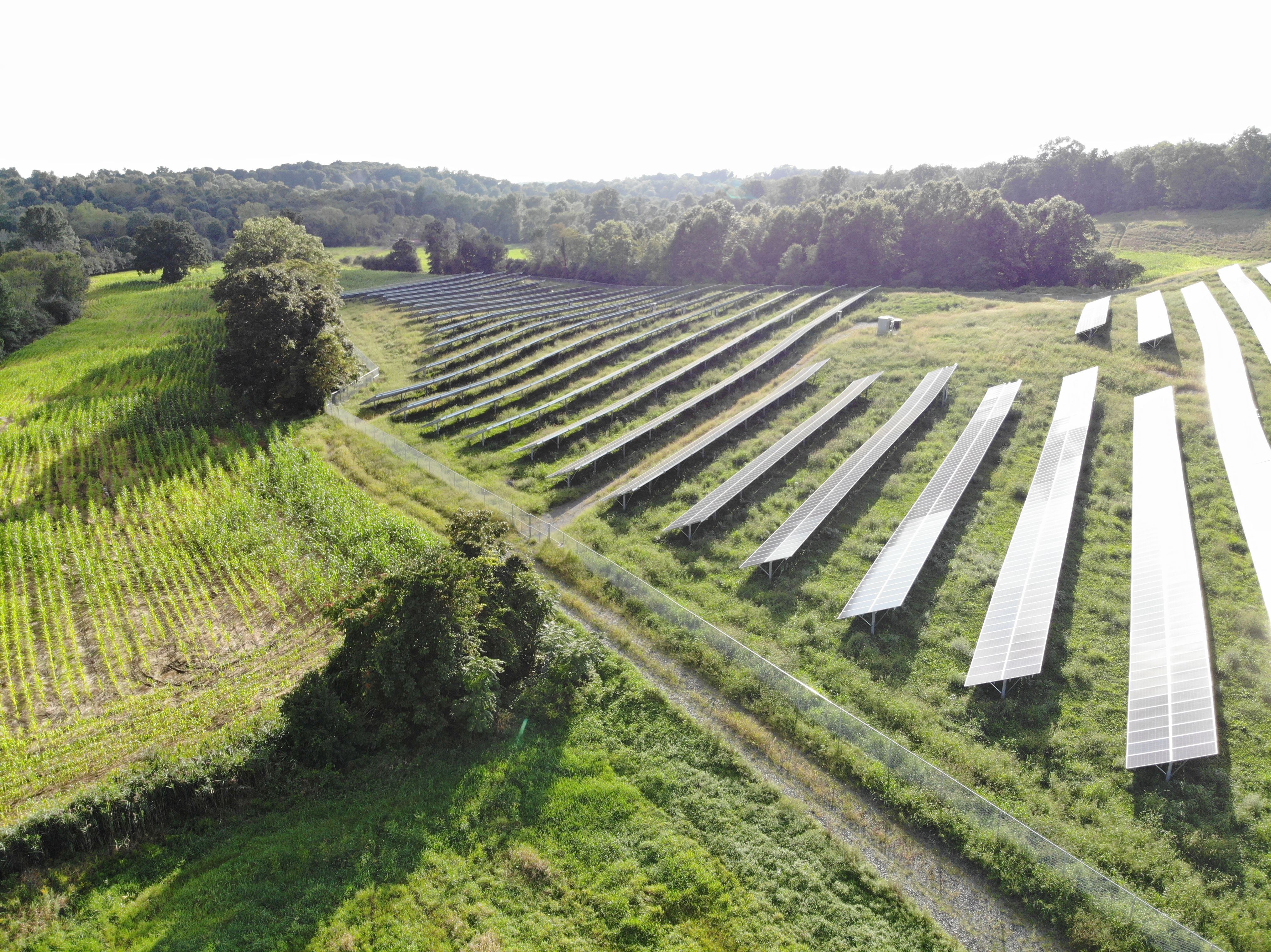 Solar Farm with fence around it
