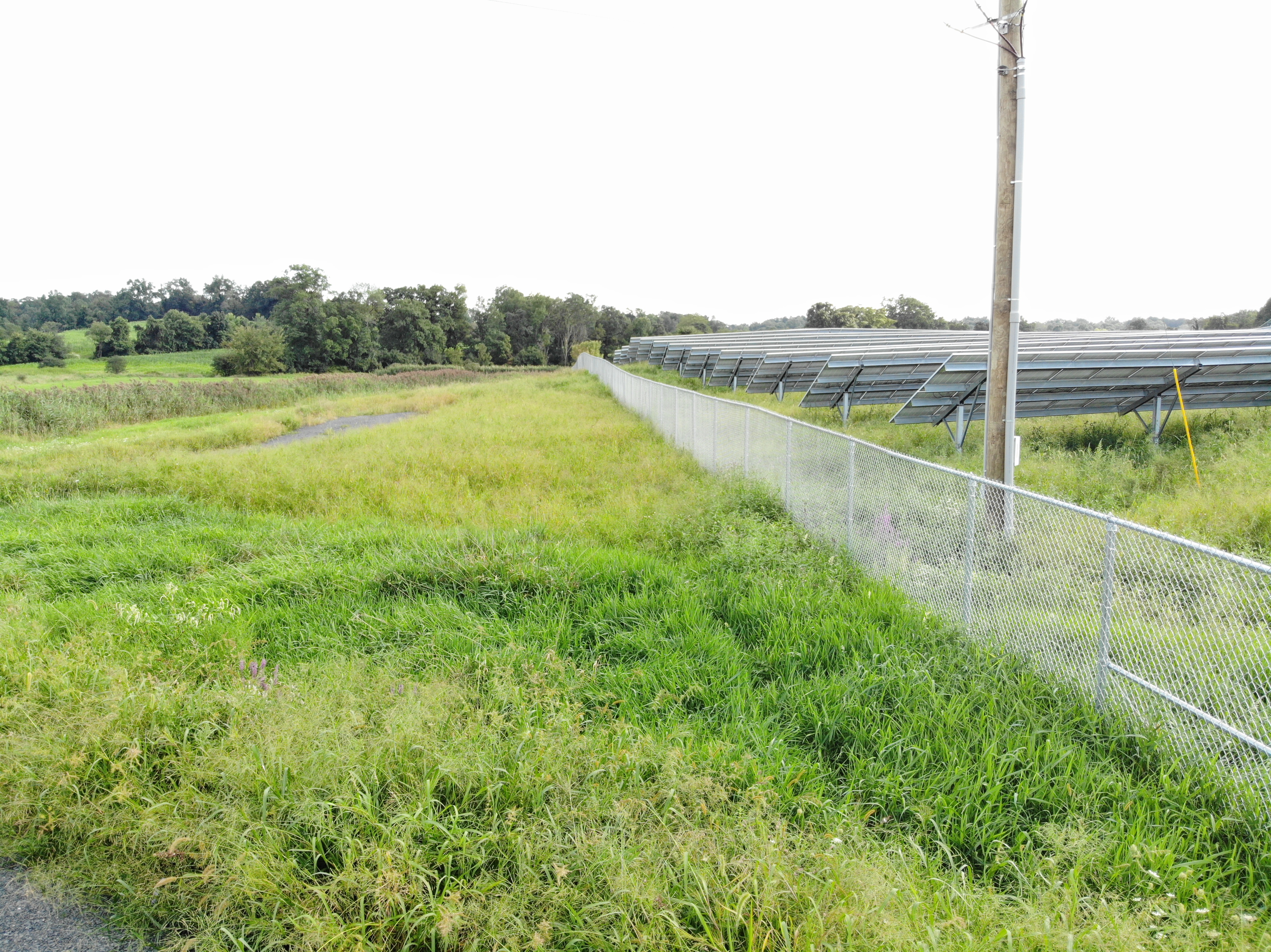 Solar Farm with fence around it