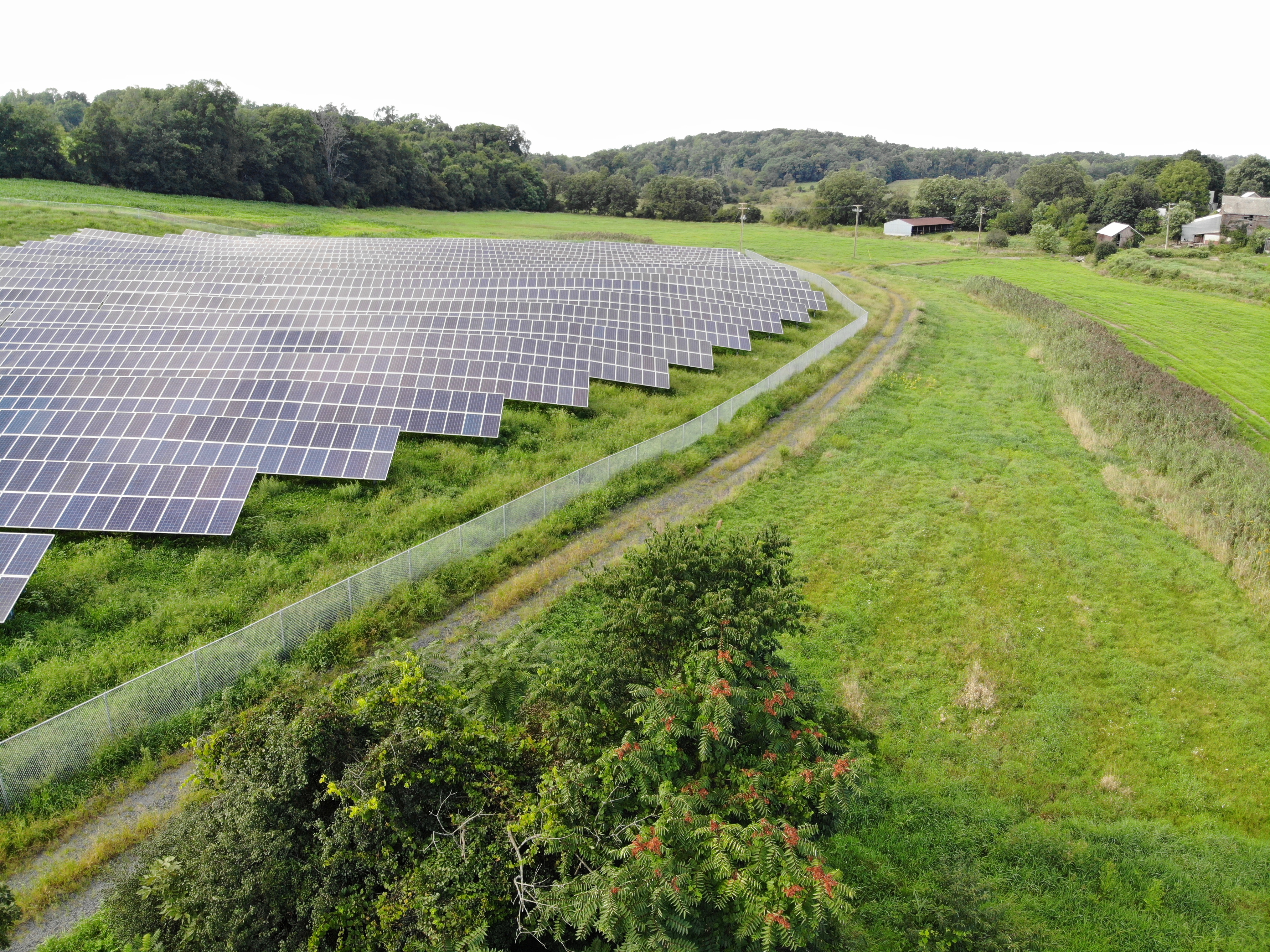 View of solar farm with fence around it